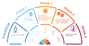 clinicalphases